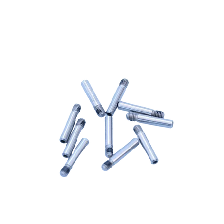 Magura Remblokhouderbouten M4 SW2 voor Gustav M, Marta, Marta SL, vanaf Louise MJ2007