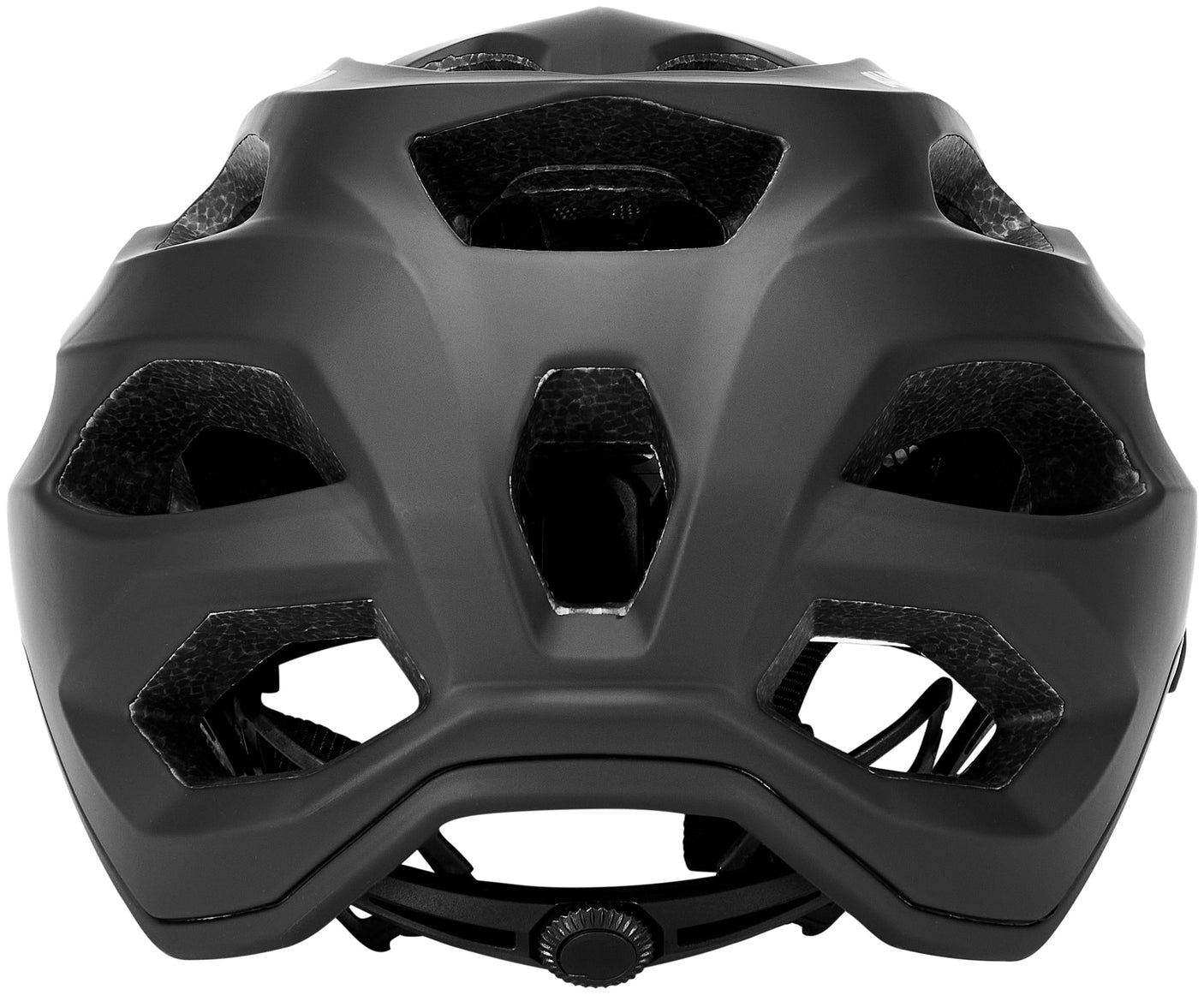 Alpina Carapax 2.0 helm zwart