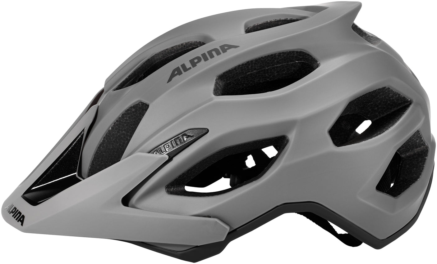 Alpina Carapax 2.0 helm grijs