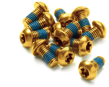 Reverse schroefset voor remschijven 12 stuks goud