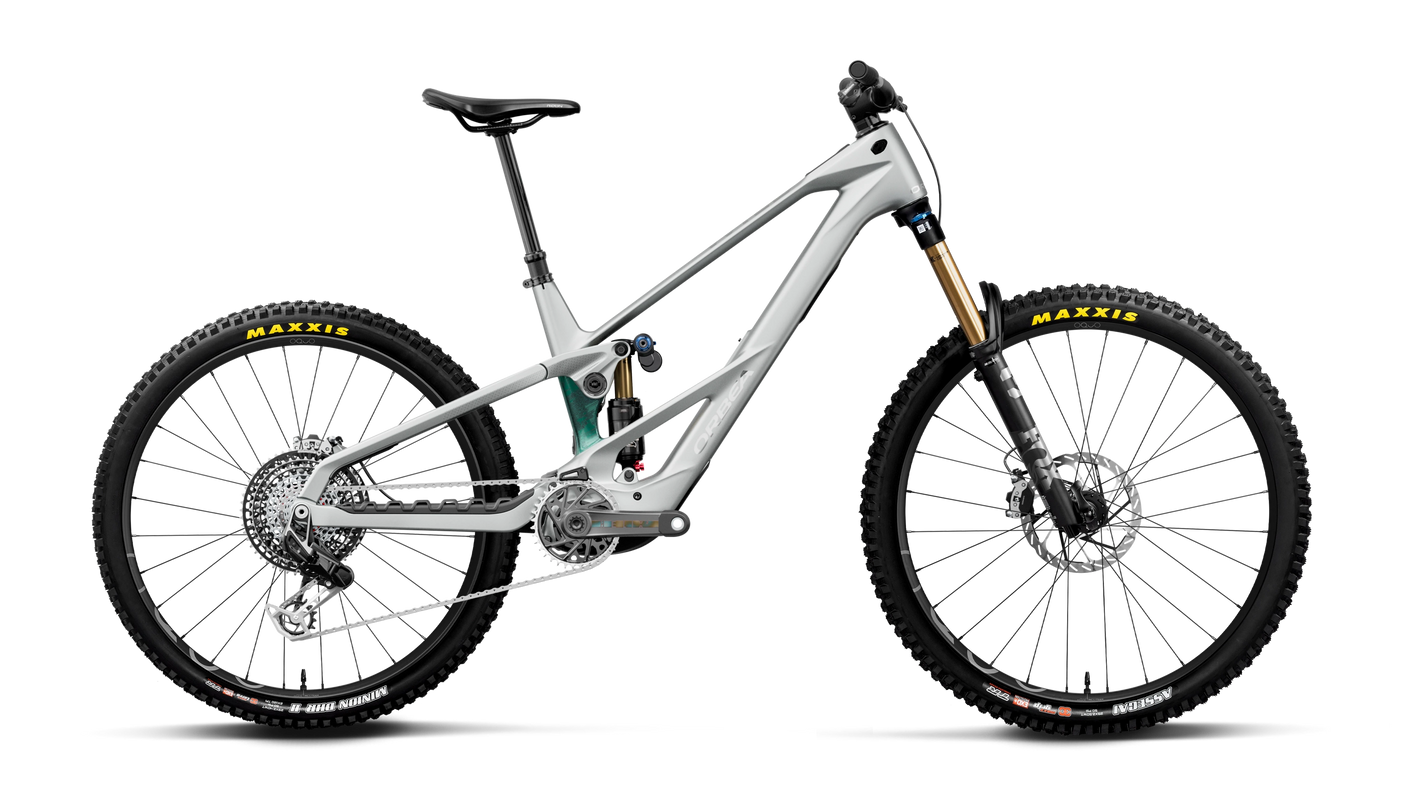 Orbea WILD LT M-LTD RS MULLET Smooth Silver (Mat) - Escape Green C. View (Glanz)