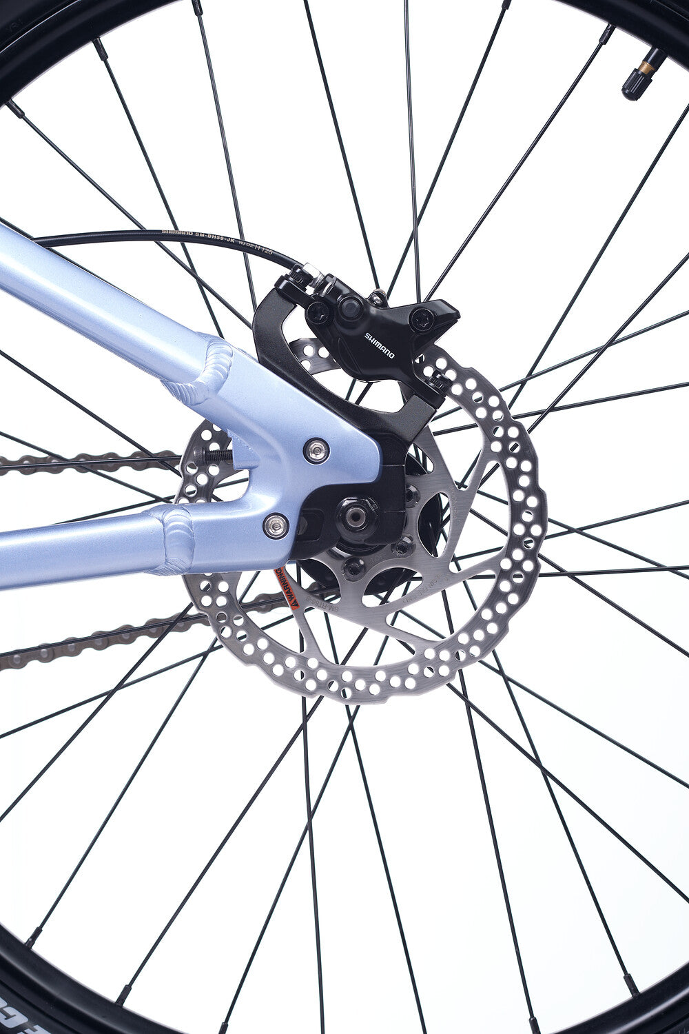 Academy PUMP 5 Frost