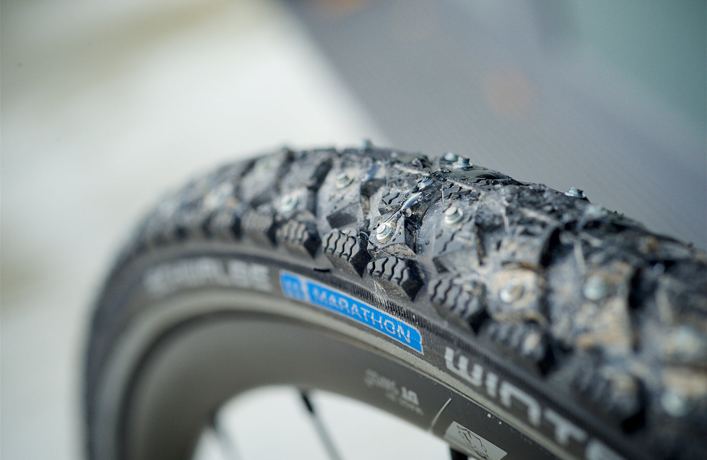 Schwalbe Marathon Winter Plus Draadband Reflex 26x2.00" zwart