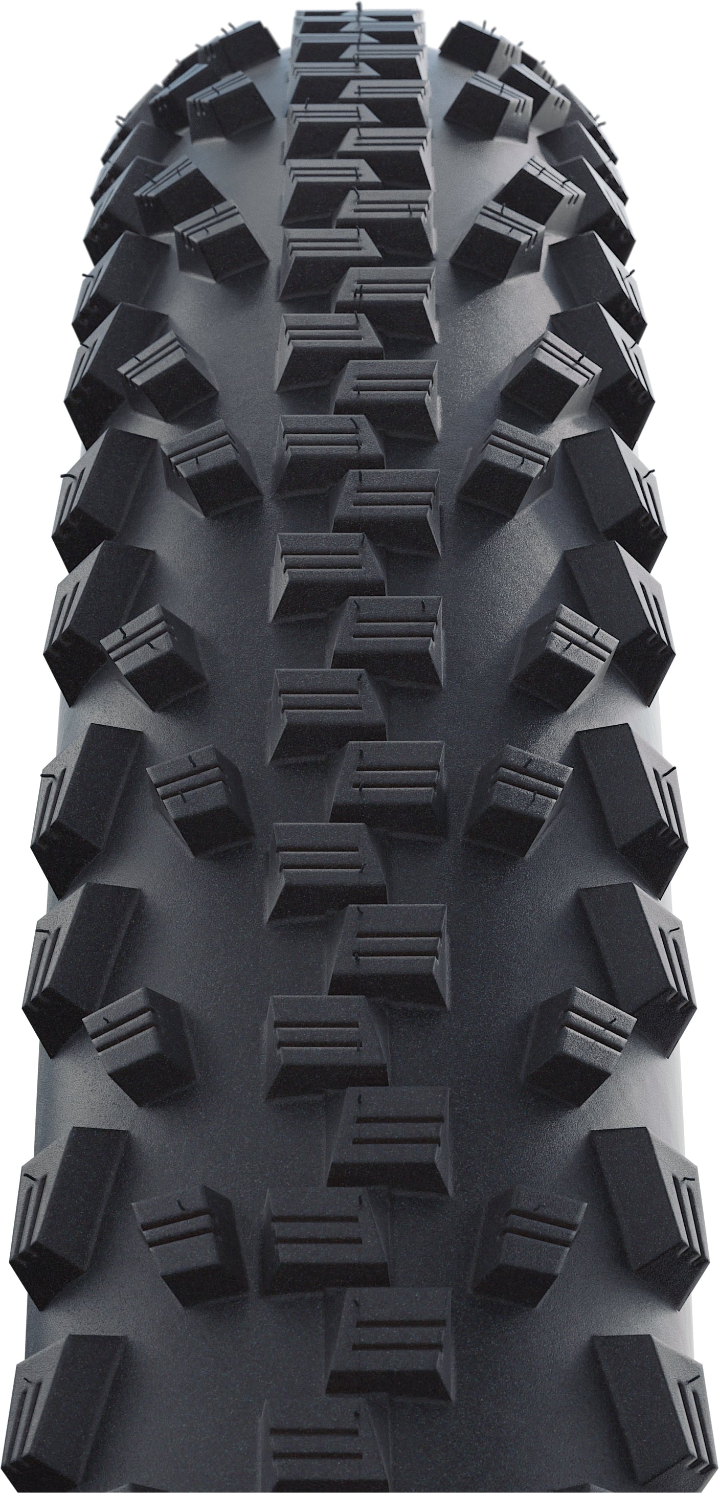 Schwalbe Black Jack Draadband 26x2.00" Active K-Guard SBC