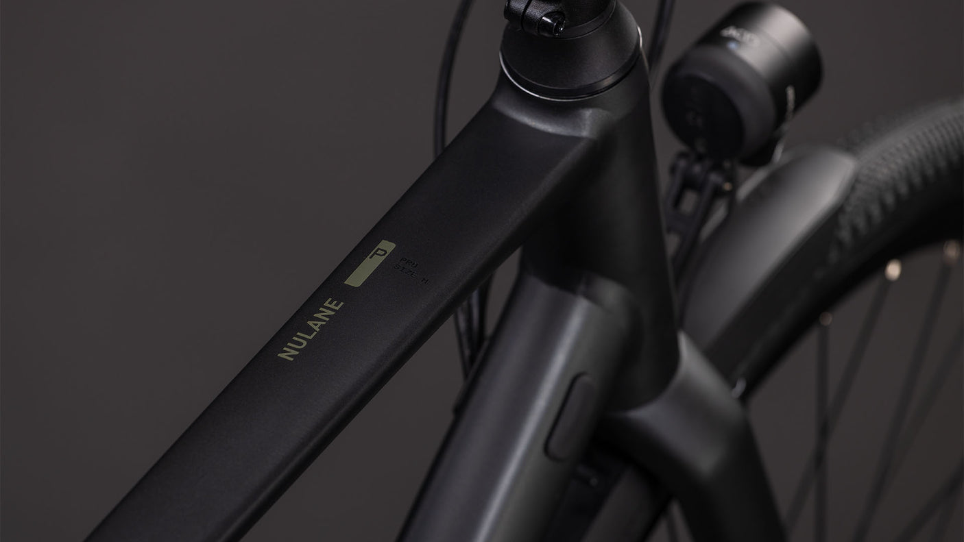 Cube Nulane Pro FE grey´n´chrome (2026)