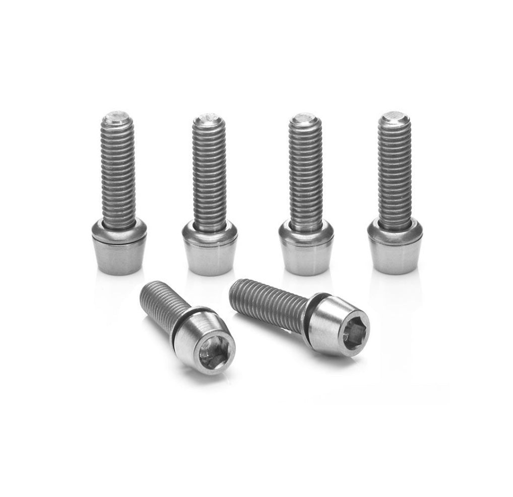 Ritchey WCS 4Axis stuurpenbouten roestvrij staal 6 stuks zilver