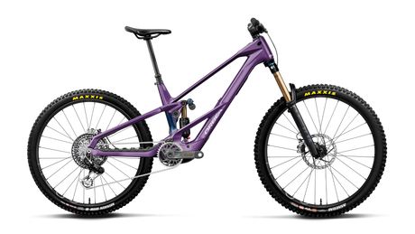 Orbea WILD LT M-LTD RS MULLET Royal Plum-Noctiluca C.View (Gloss)