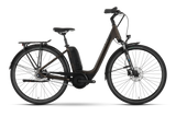 Raymon CityRay E 4.0 SE CB Wave tenmoku bruin
