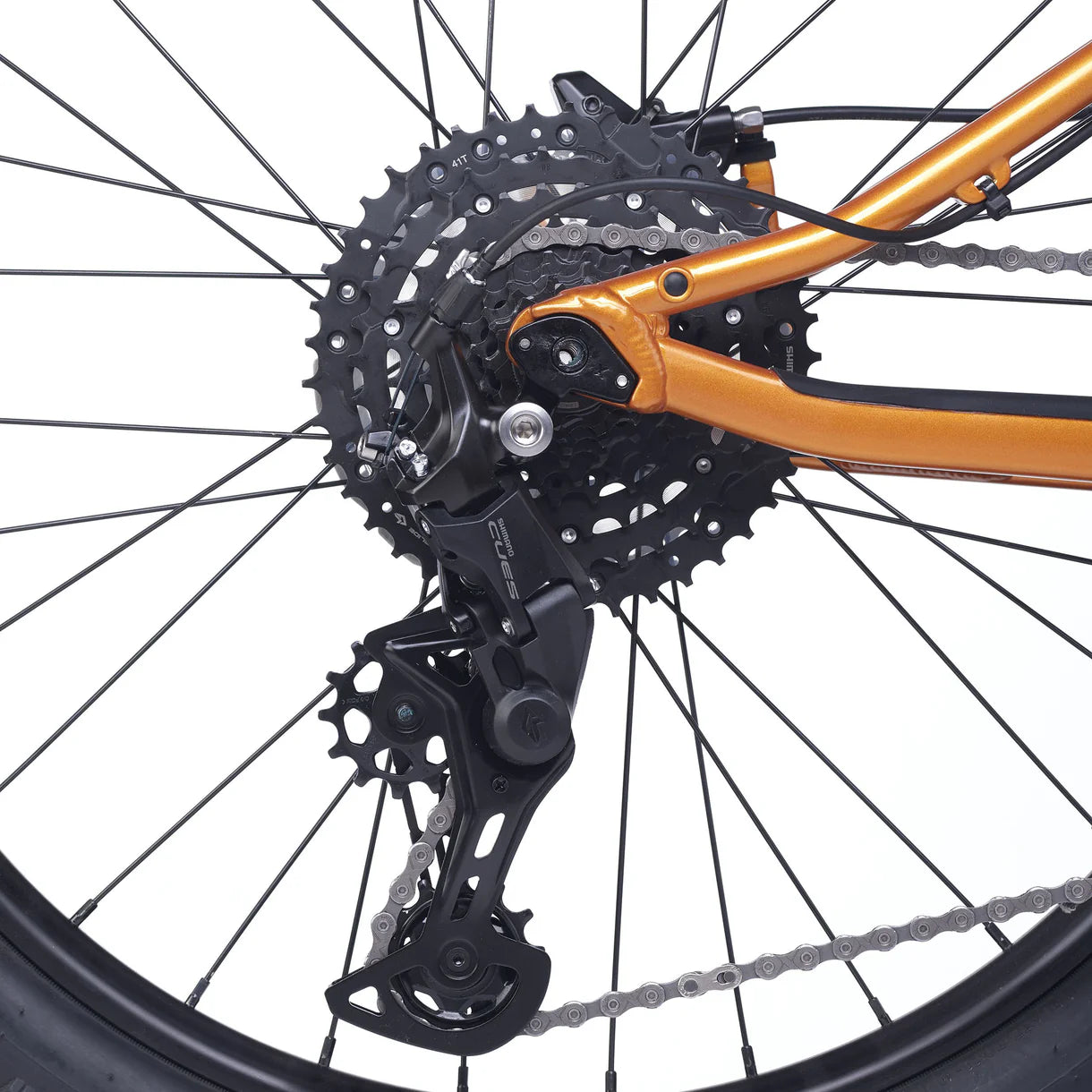 Academy Trail 5 Amber