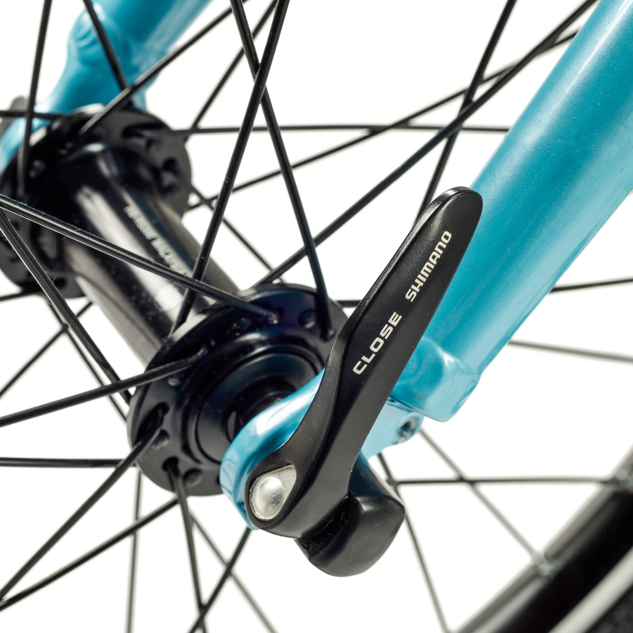 ACADEMY Grade 4 Belt 20