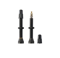 Ritchey Tubeless Ventiel 45mm 2 stuks – aktuelle Variante