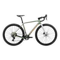 Orbea TERRA H45 1X (2025) | Gravelbike | Artichoke (Mat) - Lilac (Mat) – aktuelle Variante