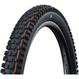 Schwalbe ALBERT TRAIL PRO SOFT Radiaal E-50 29" Tubeless Ready zwart