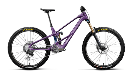 Orbea WILD LT M-LTD RS Royal Plum-Noctiluca C.View (Gloss)