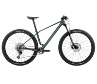 Orbea ALMA M50 Seaweed Carbon View (Mat-Gloss) (2026) | 29 inch MTB Hardtail | Seaweed Carbon View (Mat-Gloss) – aktuelle Variante