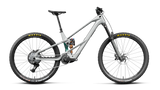 Orbea WILD LT M20 Smooth Zilver (Mat) - Escape Groen C. View (Glans)