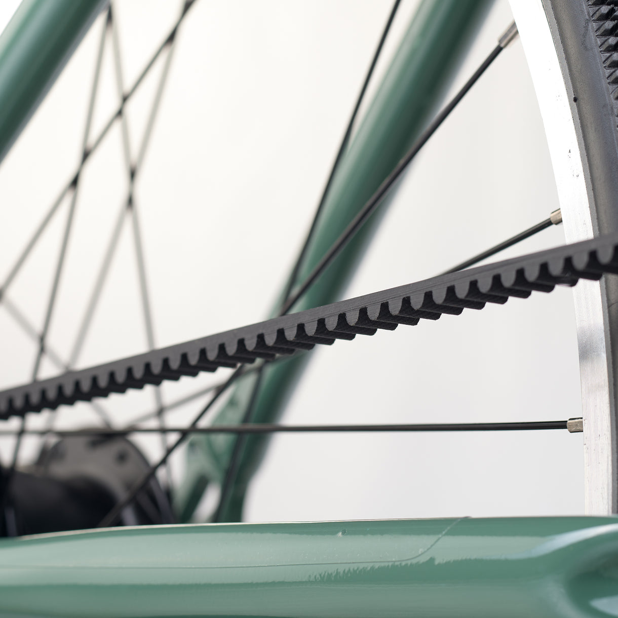 ACADEMY Grade 6 Belt 26