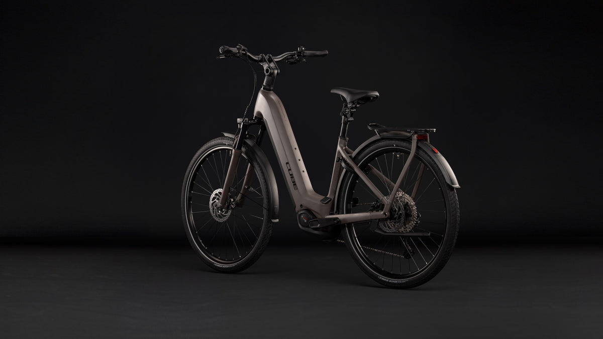 Cube Kathmandu Hybrid ONE 800 Easy Entry ceder´n´chrome (2027)