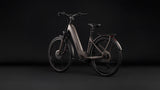 Cube Kathmandu Hybrid ONE 800 Easy Entry ceder´n´chrome (2027)