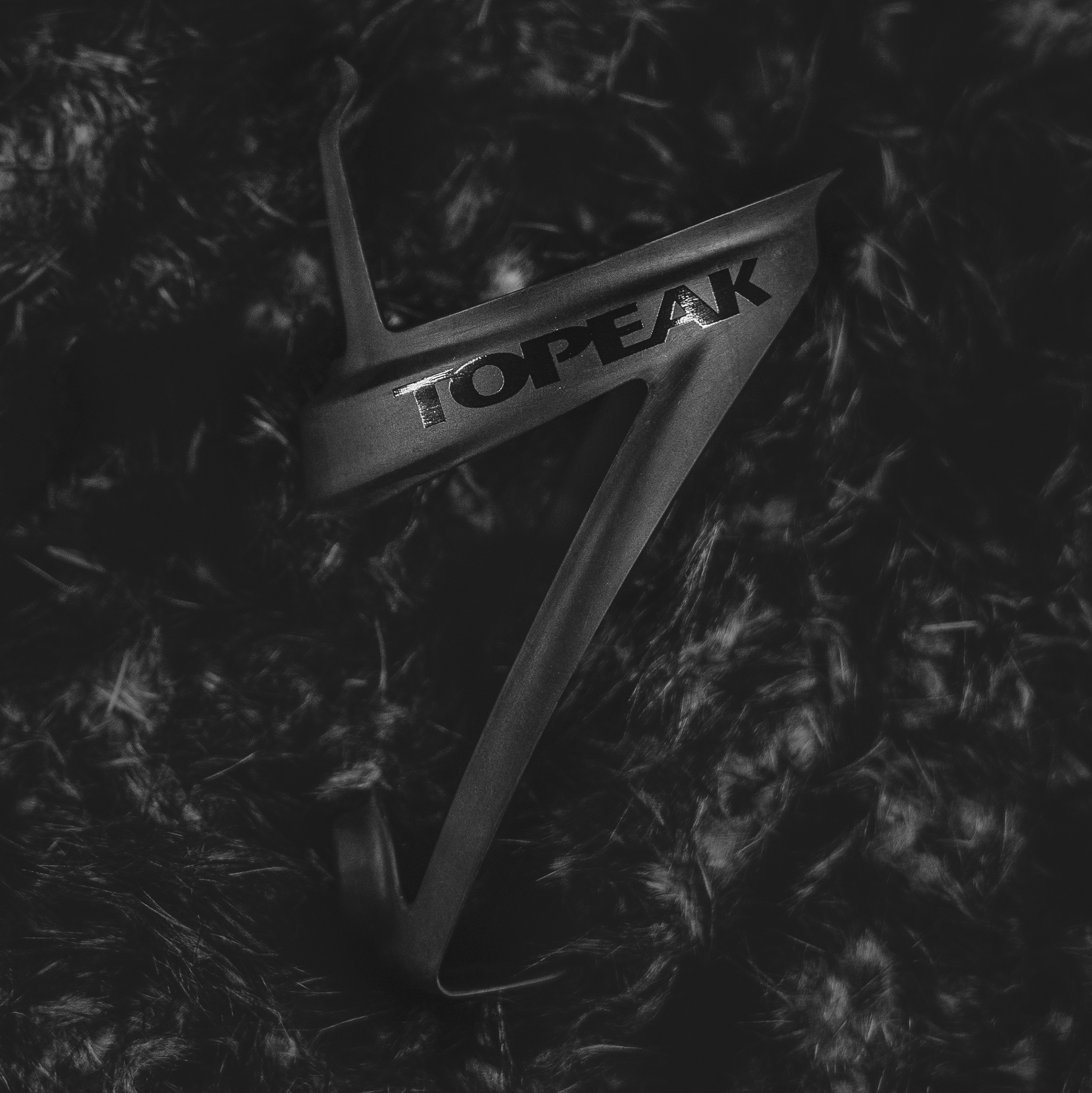 Topeak Shuttle Cage Z Gerecycled Carbon, Zwart