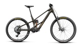 Orbea WILD LT M20 MULLET Magic Gold C. View (Mat) - Titan Gold (Glans)