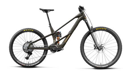 Orbea WILD LT M20 MULLET Magic Gold C. View (Mat) - Titan Gold (Glans)