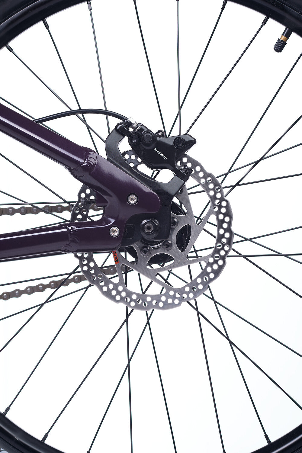 Academy PUMP 6 Pruim