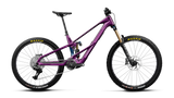 Orbea WILD LT M10 MULLET Royal Plum-Noctiluca C.View (Gloss)