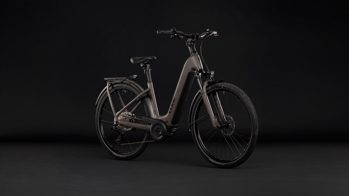 Cube Kathmandu Hybrid ONE 800 Easy Entry ceder´n´chrome (2027)