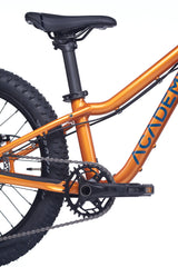 Academy Trail 4 Amber