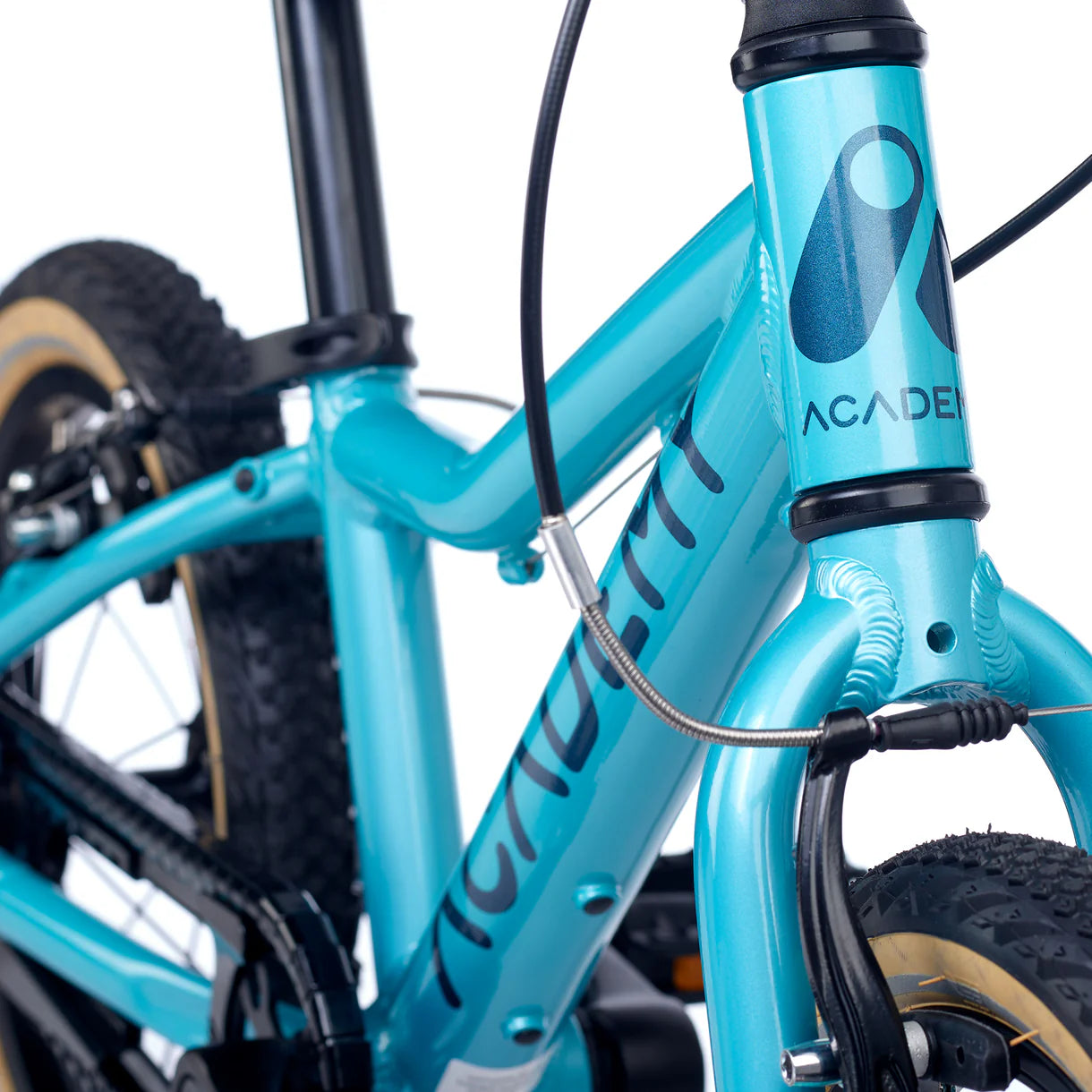 Academy GRADE 2 Oceaan