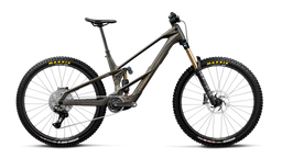 Orbea WILD LT M10 Magic Gold C. View (Mat) - Titan Gold (Glans)