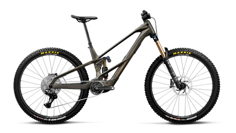 Orbea WILD LT M10 Magic Gold C. View (Mat) - Titan Gold (Glans)