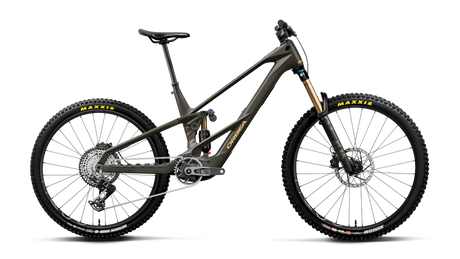 Orbea WILD LT M-TEAM RS MULLET Magic Gold C. View (Mat) - Titan Gold (Glans)
