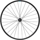Shimano WH-RS171 Achterwiel 28" Centerlock 12x142mm zwart