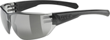 uvex Equate fietsbril Zwart Mat / Smoke