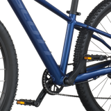 Scott Scale 600 clematis blauw (2025)