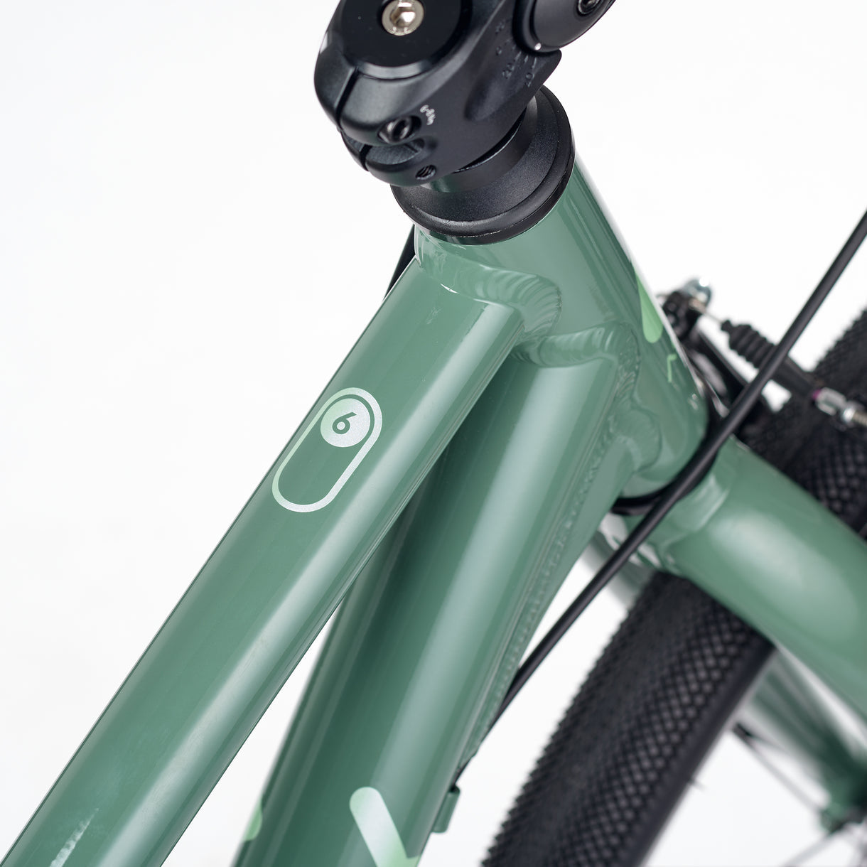 ACADEMY Grade 6 Belt 26