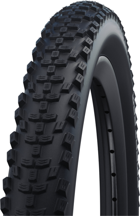 SCHWALBE Smart Sam Performance Draadband 29x2.60" DD RaceGuard Snakeskin Addix bruin/zwart