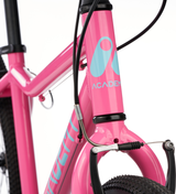 Academy Grade 5 Roze