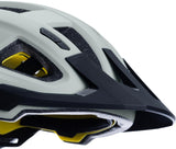 CUBE Helm FLEET grijs