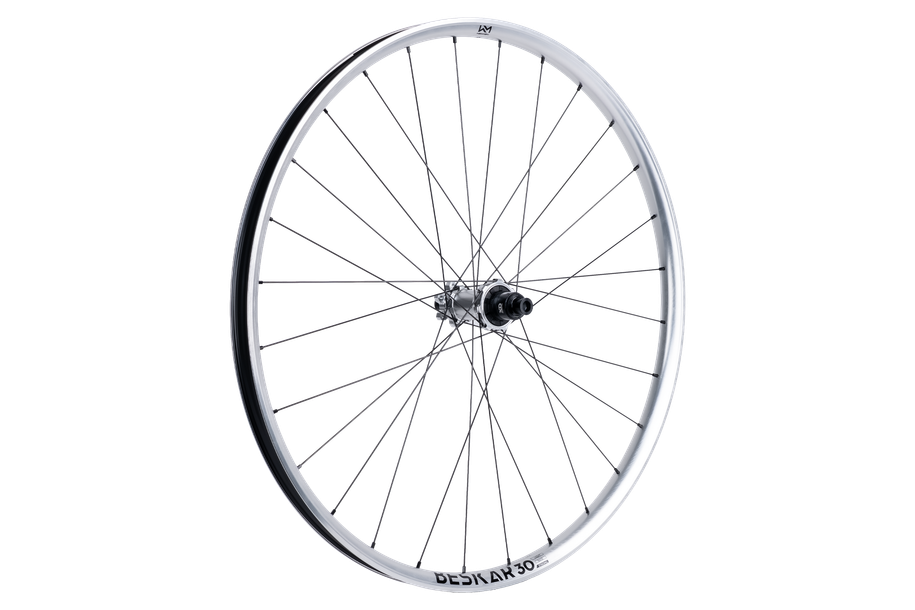 Newmen Wheel Beskar 30 strong 29" 28h FADE SP 6B 12x148 XD zilver LTD