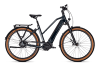 Kalkhoff Entice 5 Excite+ Trapez (2024) | Trekking E-bike | darksprings glanz – aktuelle Variante