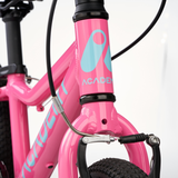 Academy Grade 2 14" Roze