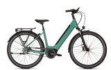 Kalkhoff Image 3 Excite Wave Mineralgreen mat (2025)