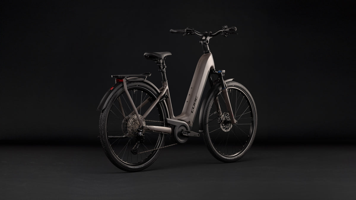 Cube Kathmandu Hybrid ONE 800 Easy Entry ceder´n´chrome (2027)
