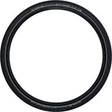 Schwalbe Delta Cruiser Plus Active draadband 28x1.10" PunctureG E-25 Green Compound Reflex zwart