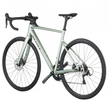 Scott Speedster 20 resedagroen