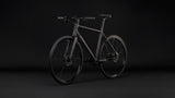 Cube Nulane Deluxe EXC grey´n´chrome (2027)