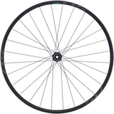 Shimano WH-RS171 Voorwiel 29" Centerlock 12x100mm zwart